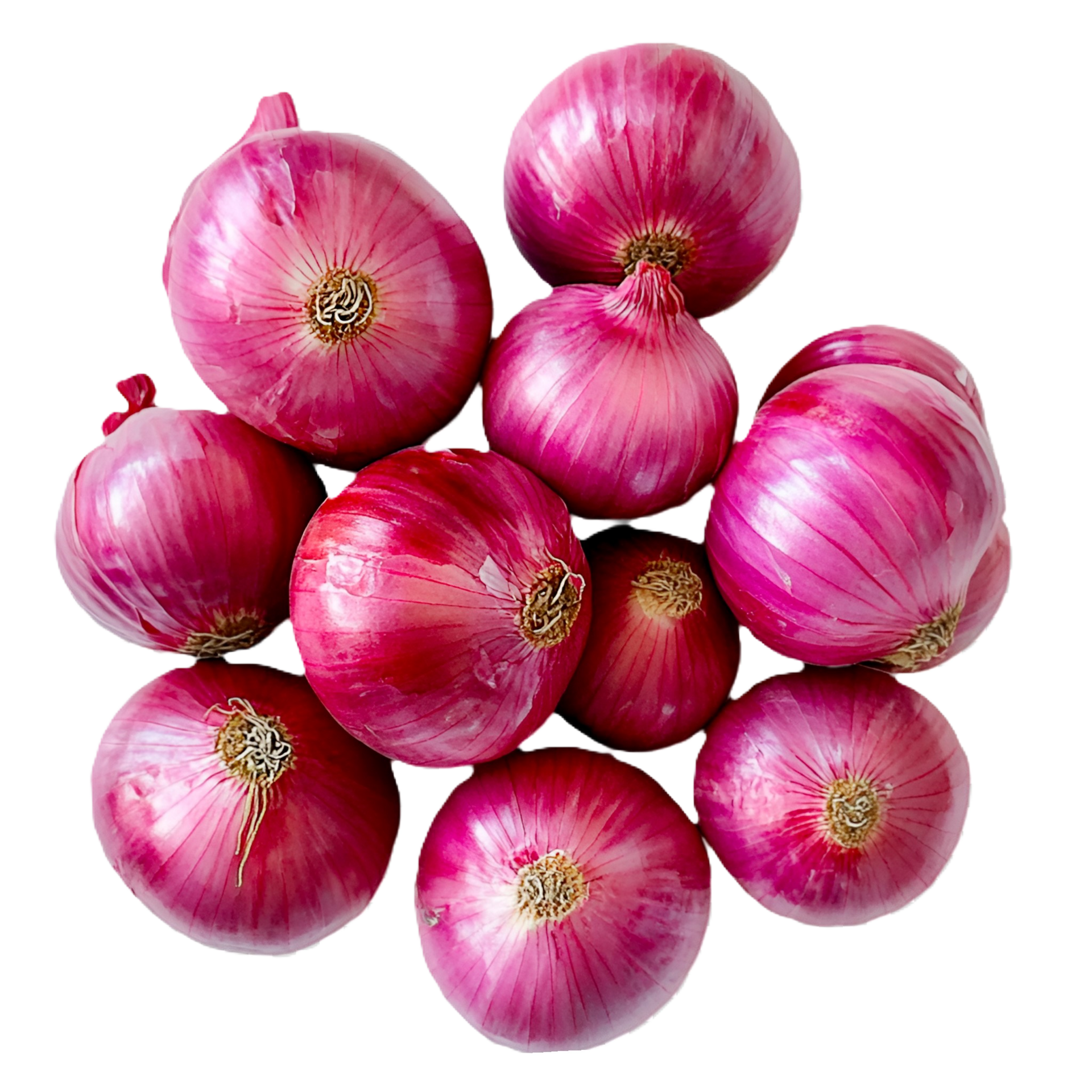 Vibrant Egyptian Red Onions: Our premium red onions from Egypt boast a striking color, milder flavor, and crisp texture. Perfect for fresh salads, grilling, or adding a sweet note to any dish.