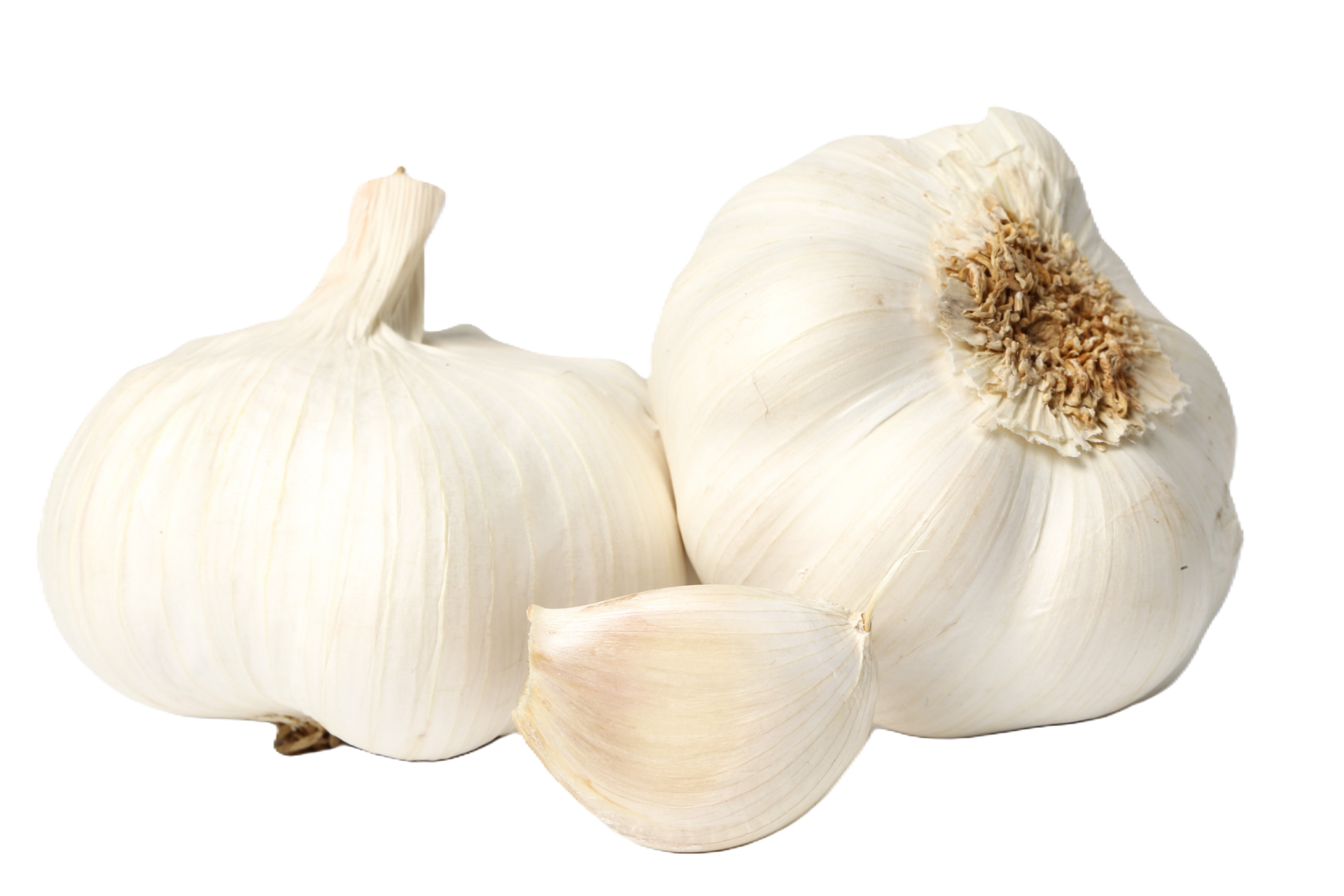 Premium Egyptian Garlic: Discover the potent flavor and aromatic richness of our Egyptian garlic. Hand-selected for firm bulbs and superior quality, perfect for global culinary demands.