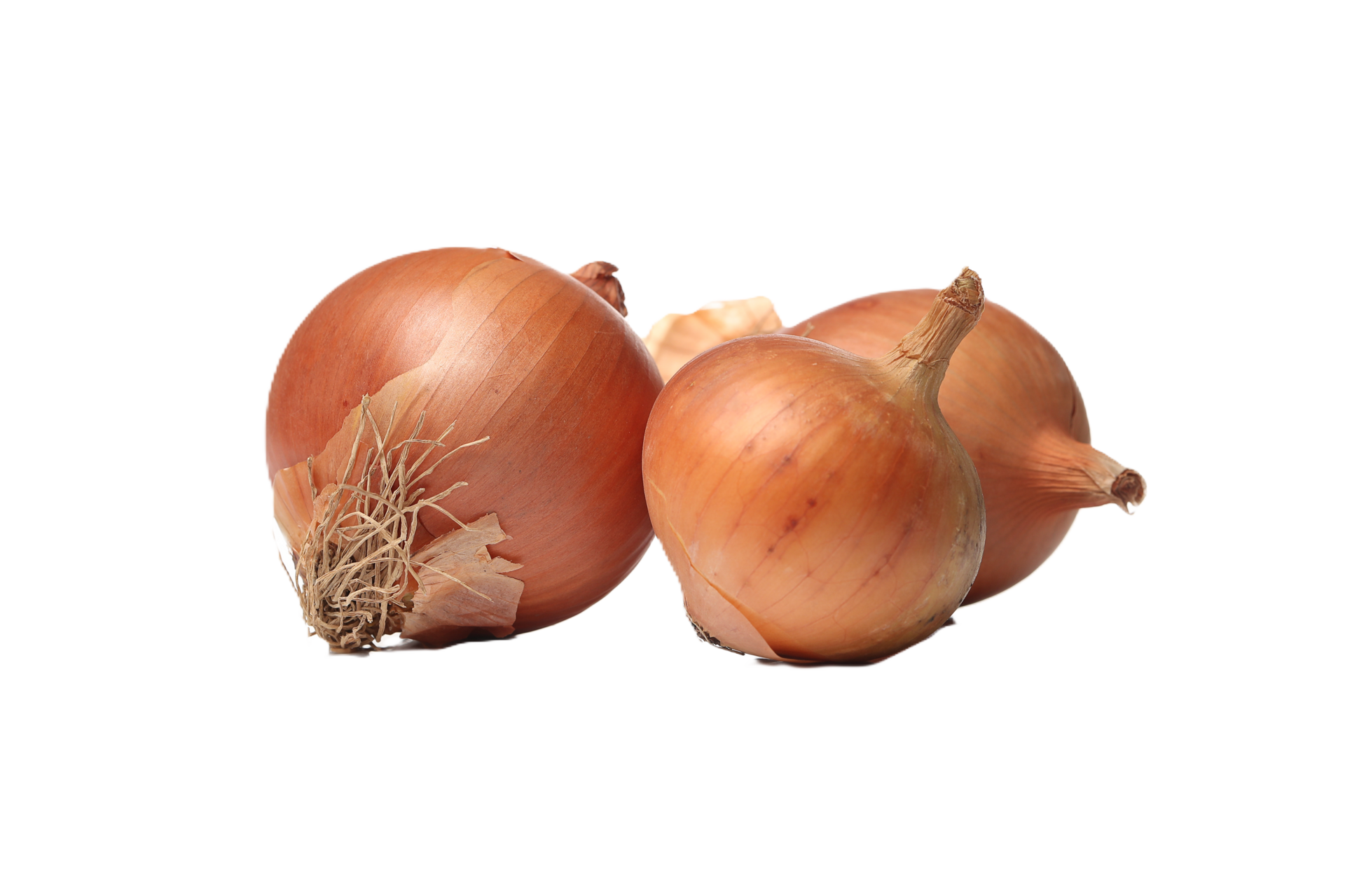 Premium Fresh Onions: Sourced from Egypt's finest farms, our onions offer exceptional flavor, crisp texture, and reliable year-round supply. Perfect for any culinary need, delivered with certified quality.